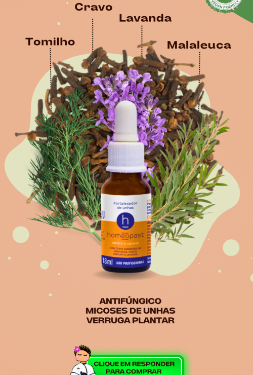 ARTE PRODUTOS HMULTI