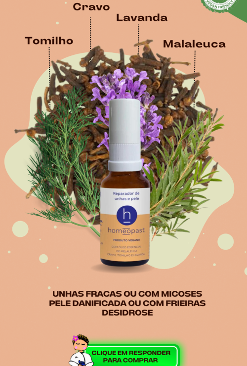 ARTE PRODUTOS HMULTI